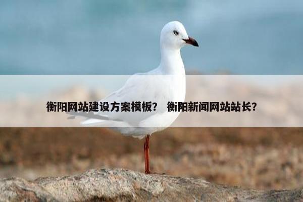 衡阳网站建设方案模板？ 衡阳新闻网站站长？