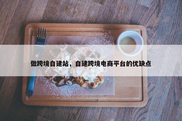 做跨境自建站，自建跨境电商平台的优缺点