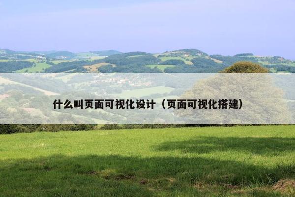 什么叫页面可视化设计（页面可视化搭建）