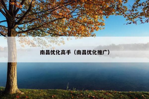 南昌优化高手（南昌优化推广）