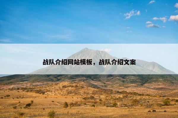 战队介绍网站模板，战队介绍文案