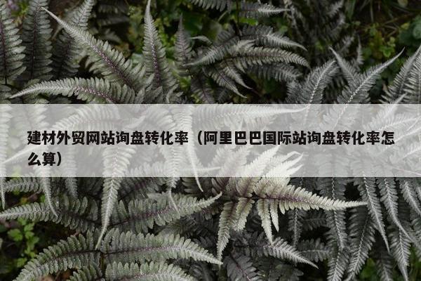 建材外贸网站询盘转化率（阿里巴巴国际站询盘转化率怎么算）