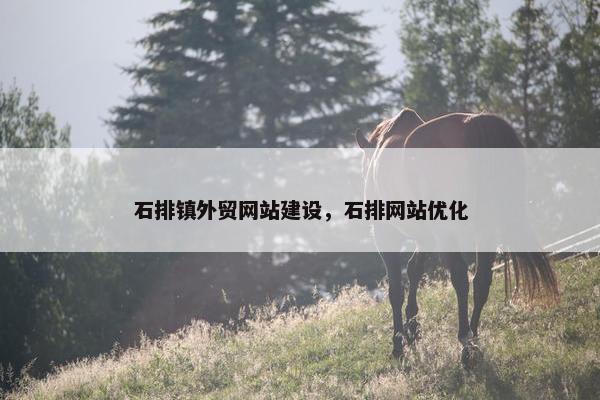 石排镇外贸网站建设，石排网站优化