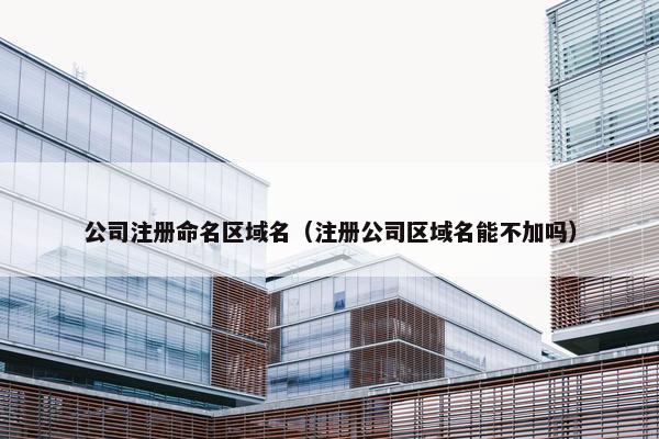 公司注册命名区域名（注册公司区域名能不加吗）