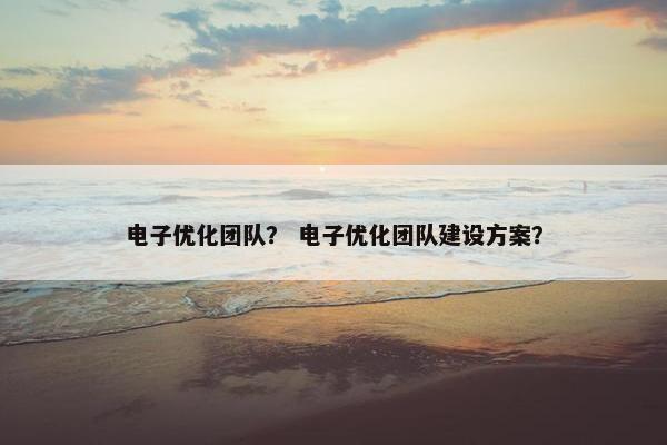 电子优化团队？ 电子优化团队建设方案？