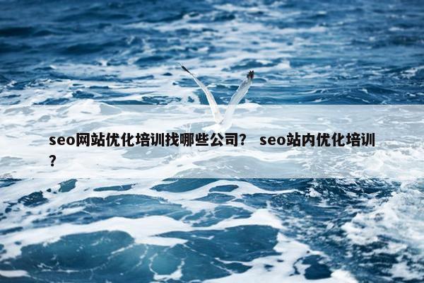 seo网站优化培训找哪些公司？ seo站内优化培训？