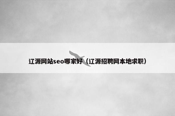 辽源网站seo哪家好（辽源招聘网本地求职）