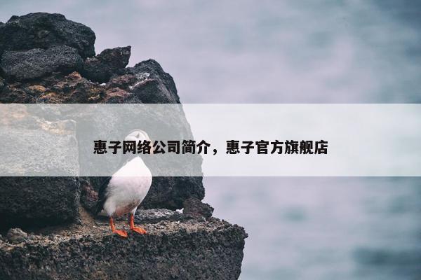 惠子网络公司简介，惠子官方旗舰店
