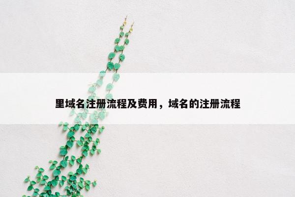 里域名注册流程及费用，域名的注册流程