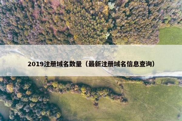 2019注册域名数量（最新注册域名信息查询）