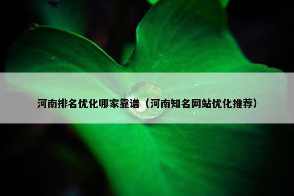 河南排名优化哪家靠谱（河南知名网站优化推荐）