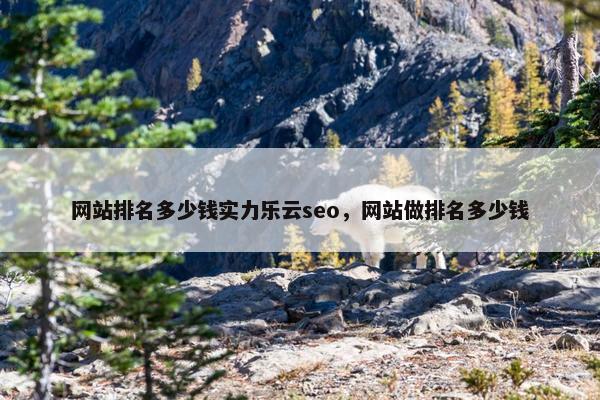 网站排名多少钱实力乐云seo，网站做排名多少钱