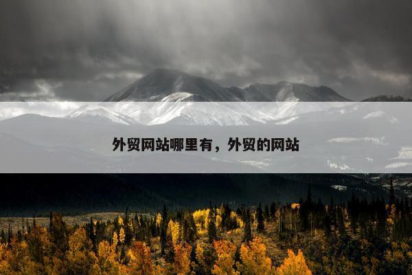 外贸网站哪里有，外贸的网站