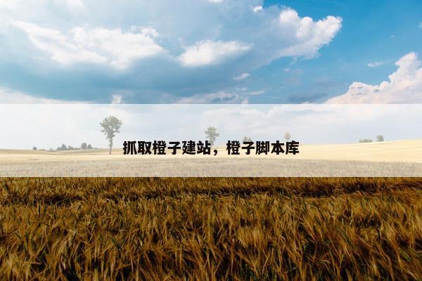 抓取橙子建站，橙子脚本库
