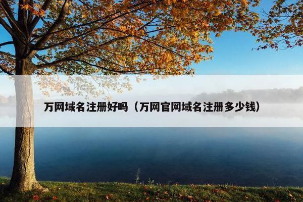万网域名注册好吗（万网官网域名注册多少钱）