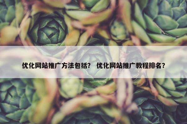 优化网站推广方法包括？ 优化网站推广教程排名？