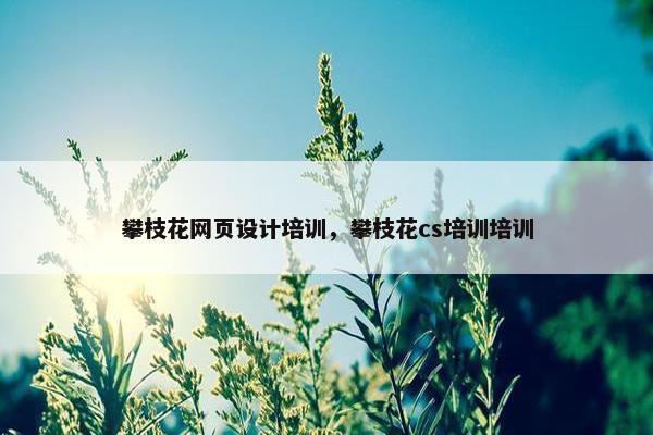 攀枝花网页设计培训，攀枝花cs培训培训
