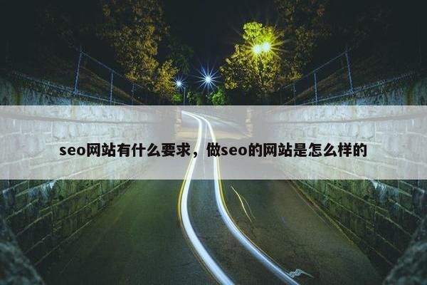 seo网站有什么要求，做seo的网站是怎么样的