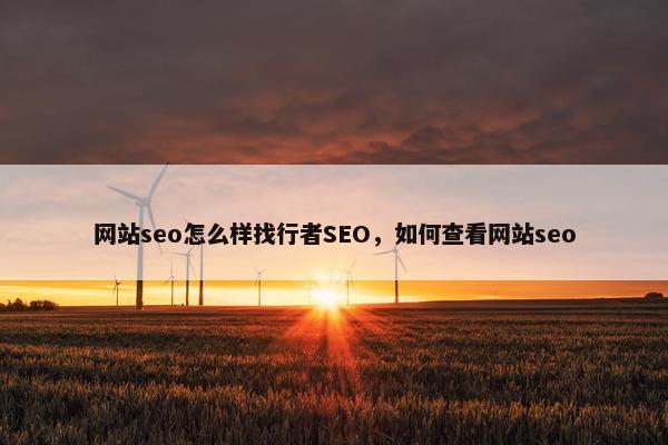 网站seo怎么样找行者SEO，如何查看网站seo