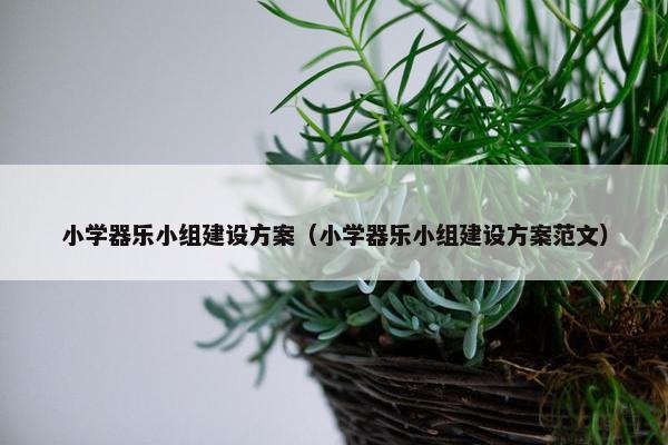 小学器乐小组建设方案（小学器乐小组建设方案范文）