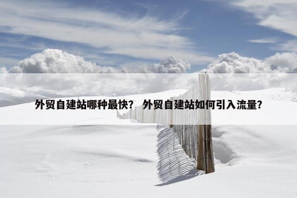 外贸自建站哪种最快？ 外贸自建站如何引入流量？