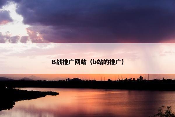 B战推广网站（b站的推广）