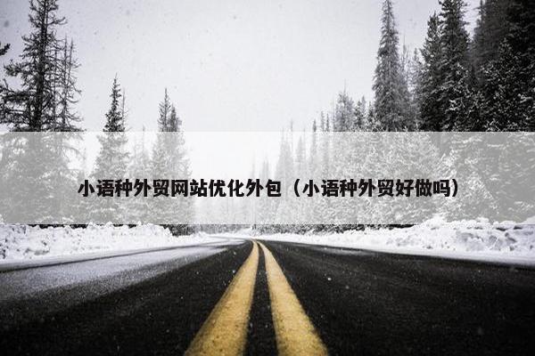 小语种外贸网站优化外包（小语种外贸好做吗）