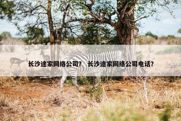 长沙途家网络公司？ 长沙途家网络公司电话？