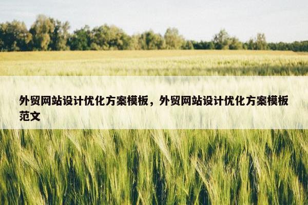 外贸网站设计优化方案模板，外贸网站设计优化方案模板范文