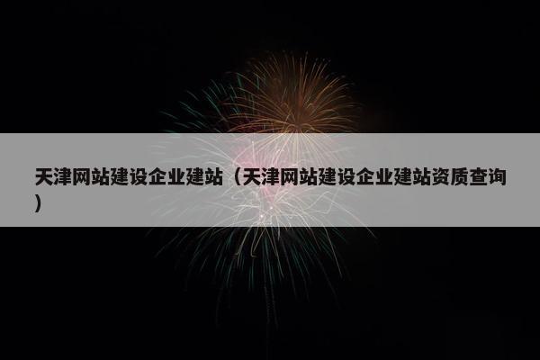 天津网站建设企业建站（天津网站建设企业建站资质查询）