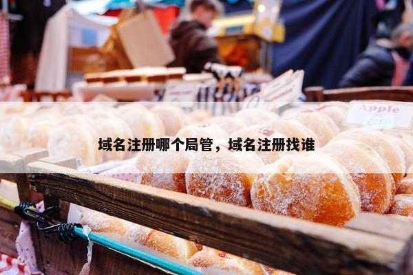 域名注册哪个局管，域名注册找谁