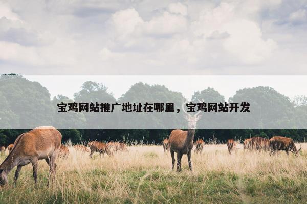 宝鸡网站推广地址在哪里，宝鸡网站开发