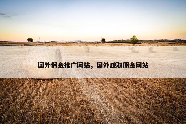 国外佣金推广网站，国外赚取佣金网站