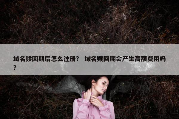 域名赎回期后怎么注册？ 域名赎回期会产生高额费用吗？