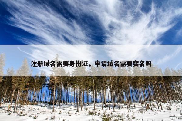 注册域名需要身份证，申请域名需要实名吗