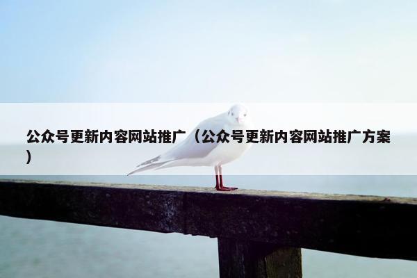 公众号更新内容网站推广（公众号更新内容网站推广方案）