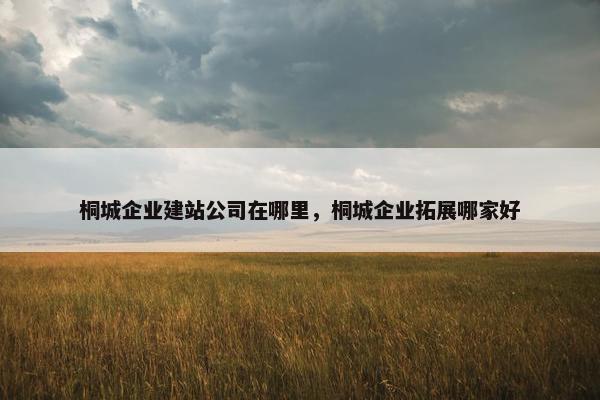 桐城企业建站公司在哪里，桐城企业拓展哪家好