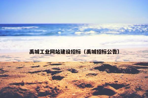 禹城工业网站建设招标（禹城招标公告）