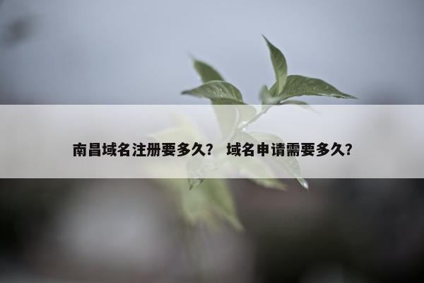 南昌域名注册要多久？ 域名申请需要多久？