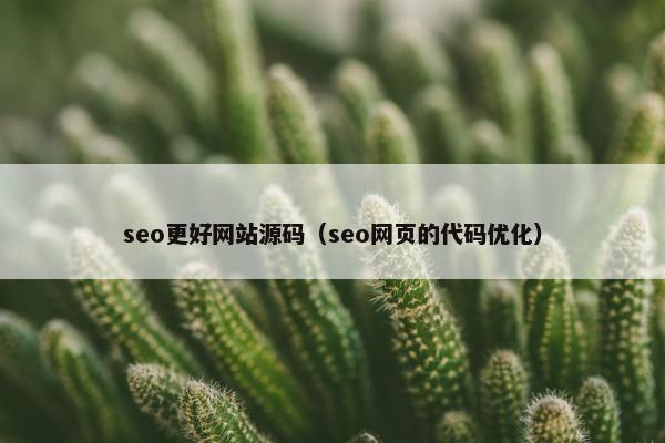 seo更好网站源码（seo网页的代码优化）