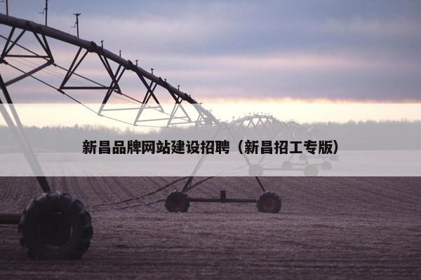 新昌品牌网站建设招聘（新昌招工专版）