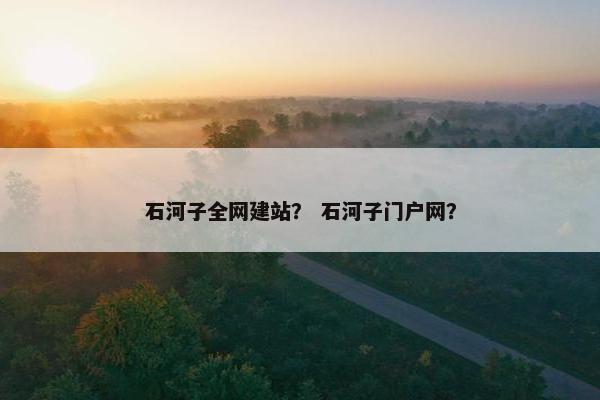 石河子全网建站？ 石河子门户网？
