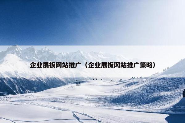 企业展板网站推广（企业展板网站推广策略）