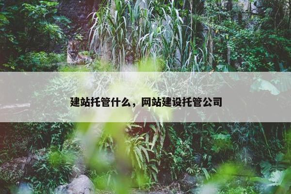 建站托管什么，网站建设托管公司