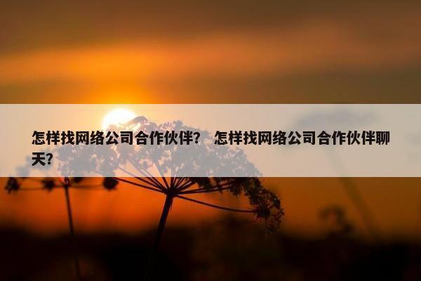 怎样找网络公司合作伙伴？ 怎样找网络公司合作伙伴聊天？