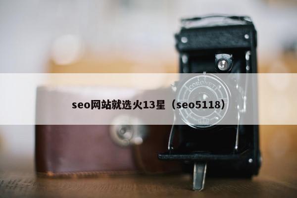 seo网站就选火13星（seo5118）