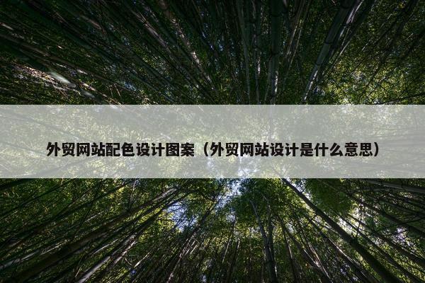 外贸网站配色设计图案（外贸网站设计是什么意思）