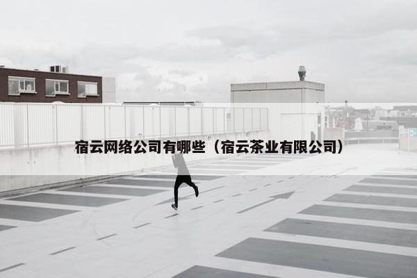 宿云网络公司有哪些（宿云茶业有限公司）