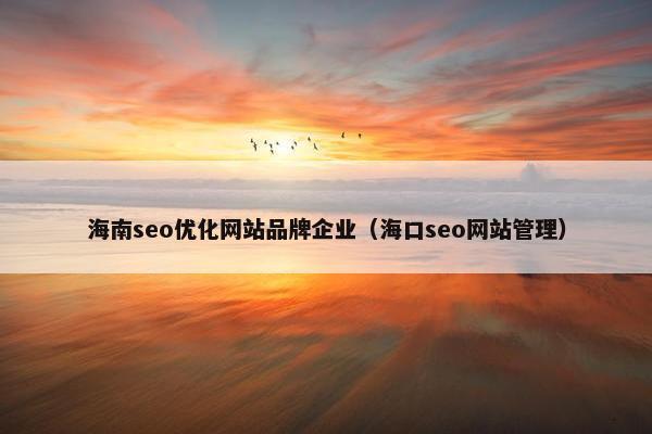 海南seo优化网站品牌企业（海口seo网站管理）