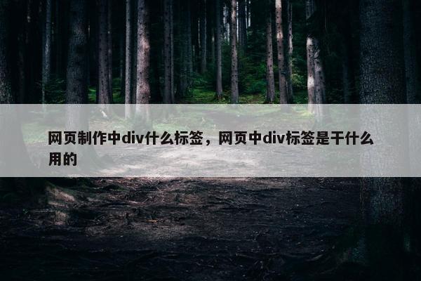 网页制作中div什么标签，网页中div标签是干什么用的